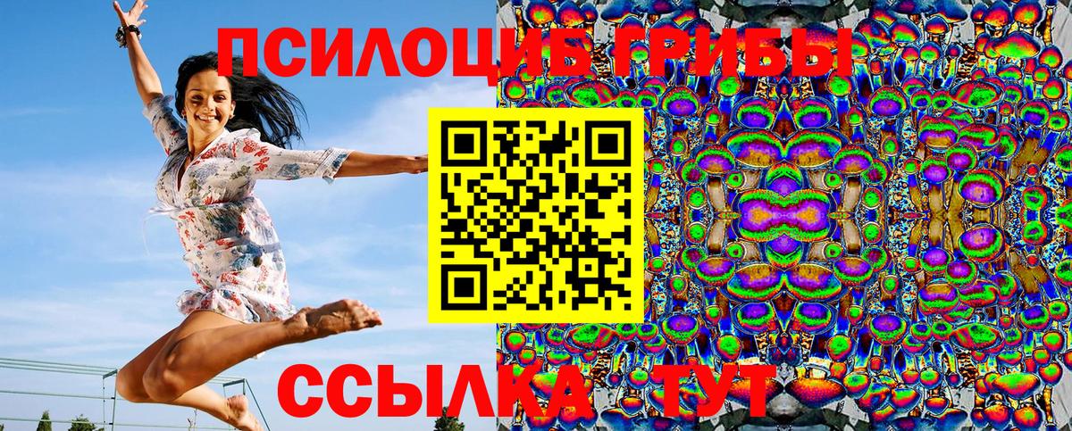 Галлюциногенные грибы GOLDEN TEACHER  Вход с VPN  Черняховск 