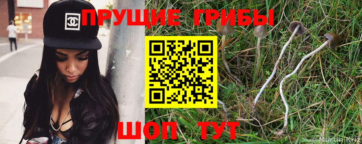Галлюциногенные грибы MAGIC MUSHROOMS Черняховск